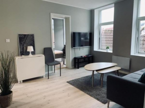 Apartment in the city center